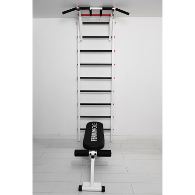 Шведская стенка Ferrum Force F3 купить в Воронеже