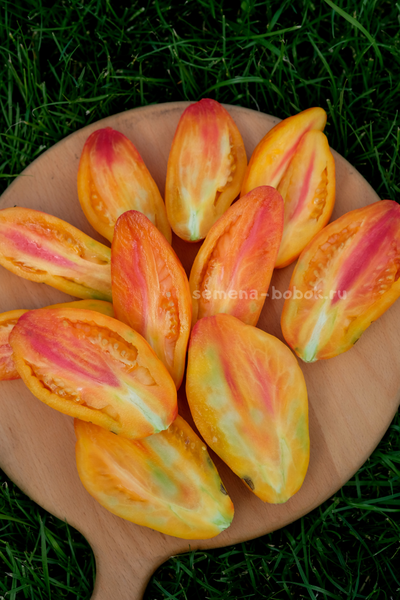 Томат Желтый Тюльпан, 5 шт