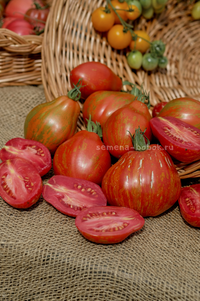 Томат Огненный шар (Palla di fuoco), 10 шт