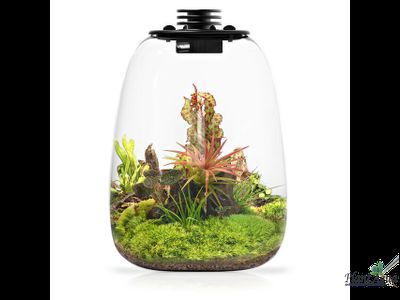 Биобутылка Biolark LED QD172 (175мм х 230мм)