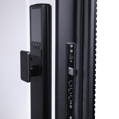 Стальная дверь   Сапсан (биометрический замок Smart lock Y23)