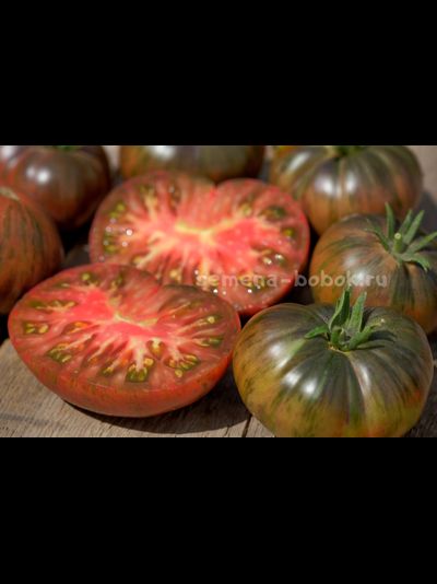 Томат Dwarf The Thong (Гном Тонг), 10 шт