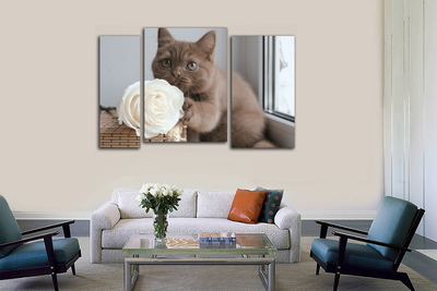 Модульная картина "Кот с розой"