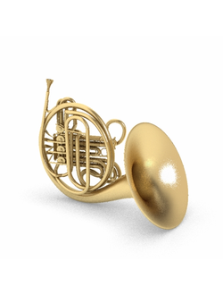 музыкальные Валторна 02