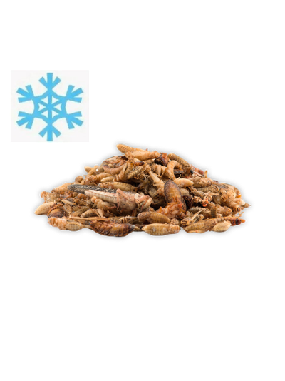 Микс насекомых замороженный 10гр