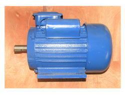 Двигатель электрический YL100L-2