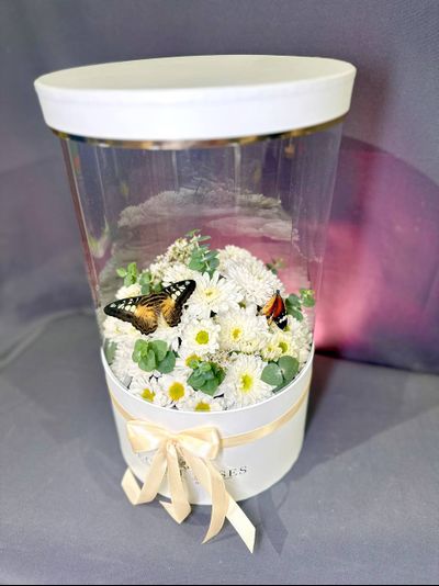 Белая хризантема №73