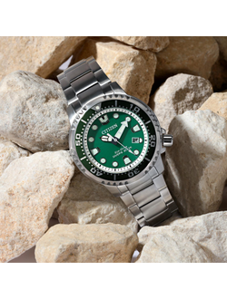 Наручные часы Citizen BN0158-85X