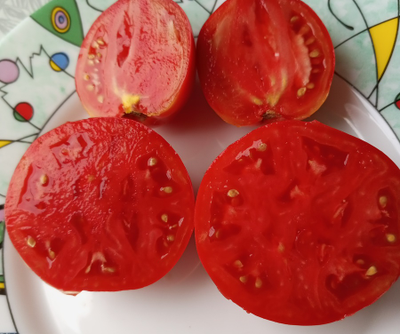 Томат Июнь розовый (June Pink)