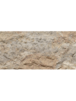 Devine Mushroon Stone Божественный грибной камень