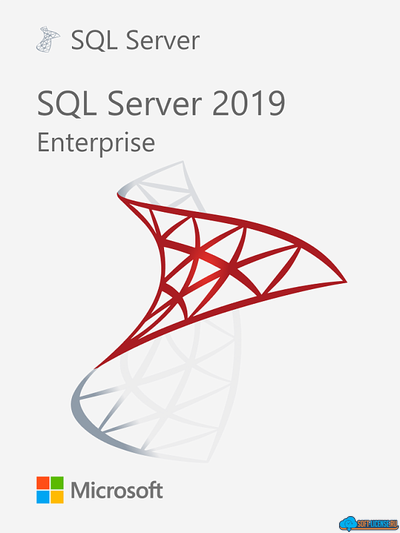 Microsoft SQL Server 2019 Enterprise Edition