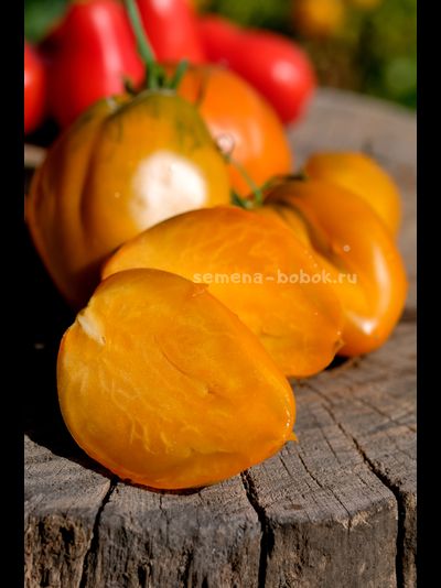 Томат Огненный гребень цвета Охра (Cresta di Fuoco), 10 шт