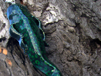 Подвеска "Рыба Древних" в тёмно-зелёной цветовой гамме