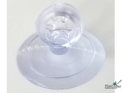 Присоска прозрачная для компрессорных шлангов и тонких термометров