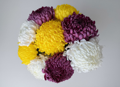 Букет моно цветов № 566