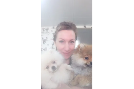 Щенки шпицев АРЧИ и МАРИК