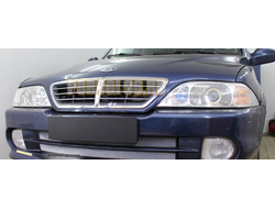 Защита радиатора ТагАз Road Partner 2008-2011 (2 части) chrome низ