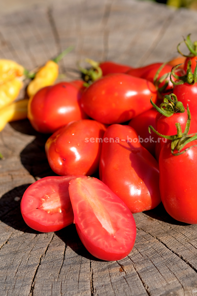 Томат Джуаджито (Guajito), 7 шт