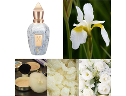 Xerjoff Shooting Stars Collection: Apollonia