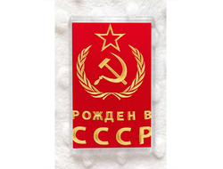 Магнит СССР №10