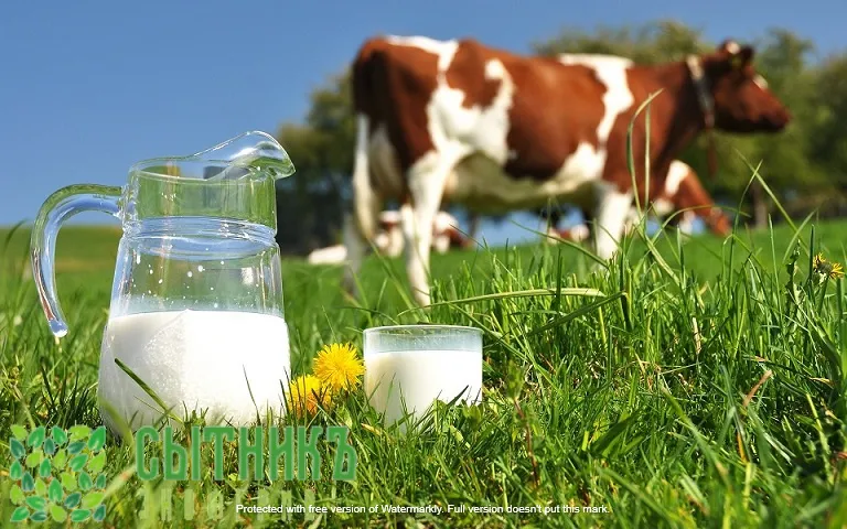 Молочные продукты от фермера с доставкой на дом
