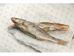 Судака вяленый оптом