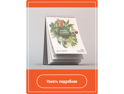 Дизайн настольного календаря