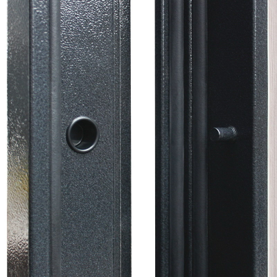 Стальная дверь   Техно XN 99