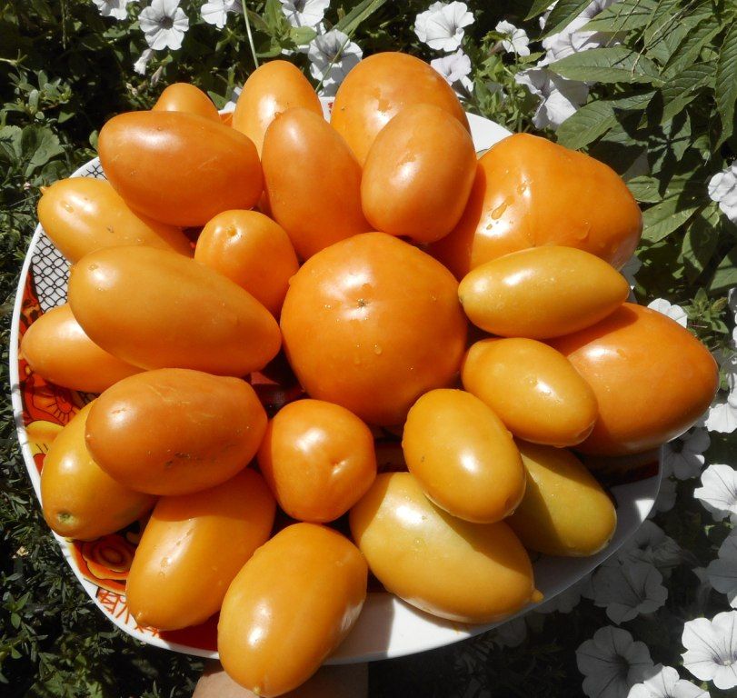 Оранжевые сливки