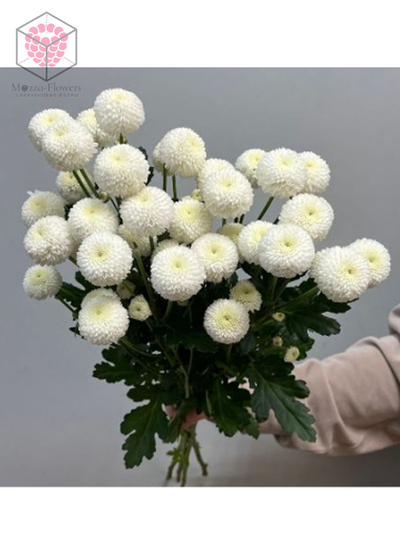 Набор вайнеров и каттеров "Листья хризантемы"