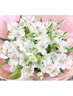 Альстромерия