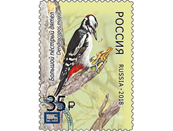 Магнит. Дятлы. Большой пёстрый дятел