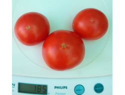 Томат Аленка