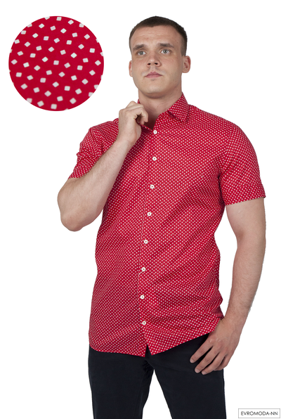 Рубашка мужская Рато S-SF 170796 (42)