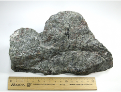 Эвдиалит в породе (нефелин, эгирин) коллекционный образец, Кольский п-ов (200*124*90 мм, 2144 г) №24859