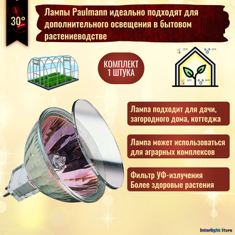 Paulmann Rose FLOOD 20w 12v 30° GU4