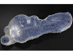 Коралл голубой Акори, Австралия (137*57*14 мм, 129 г) №37716