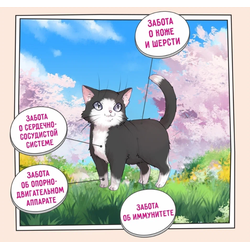ZILLII Kitten  корм сухой для котят Индейка с Ягненком 2 кг