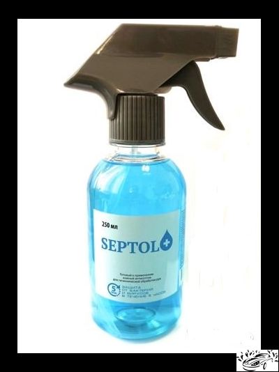 Антисептик для рук Septol+ 250мл