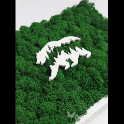 ЖИВАЯ ЭКО-КАРТИНА 1038