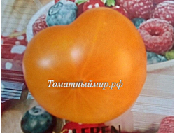 Томат Азочка (Azoychka)