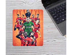 Коврик для мышки вертикальный Ливерпуль, Liverpool FC №14