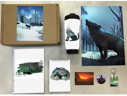 Бокс The Long Dark, Лонг Дарк №5