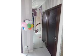 Дверь гармошка