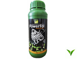Паверфол (Спидфол) Амино Старт КС 1л