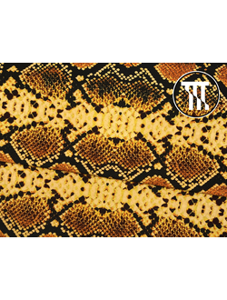 Спортивный трикотаж принт Питон, цв. Марципан