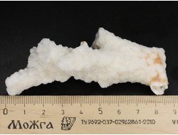 Коралл белый, коллекционный образец, Китай (89*37*25 мм, 40 г) №37700