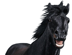 Монгольский конь (Лошадь) в динамичной позе - Коллекционная ФИГУРКА 1/6 scale animal model No.33:Mongolica (dynamic posture) (Mr.Z033-MD005) - Mr.Z