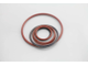 Encapsulated O-Ring