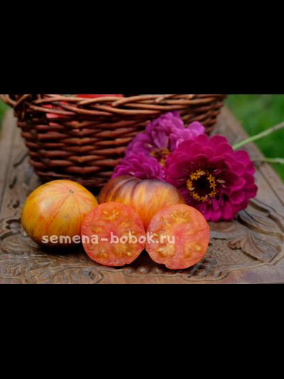 Томат Мечта Алисы (Alice's Dream), 10 шт